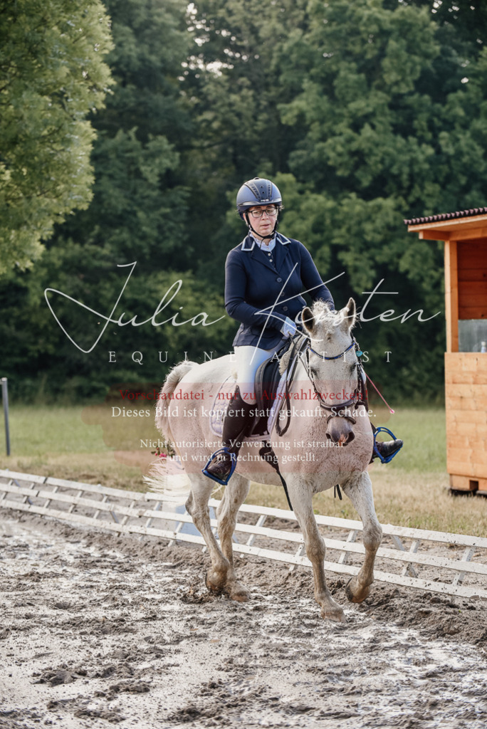DSC_7959 | Pferde- und Turnierfotografie in Westsachsen. Pferdeportraits, Auftragszeichnungen und intuitive Kunst.