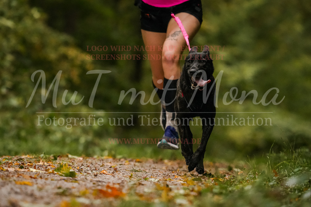 20251005_THS_Turnier-134 | MuT (Mensch und Tier) mit Mona - Fotografie und Tierkommunikation - Realisiert mit Pictrs.com