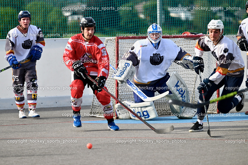VAS Ballhockey vs. HSC Eagles Poggersdorf | #65 Ortner Stefan, #4 Kramer Marco, #70 Moser Lukas, VAS Ballhockey vs. HSC Eagles Poggersdorf, #11 Potocnik Luca, VAS Ballhockey vs. HSC Eagles Poggersdorf am 14.07.2024 in Villach (Alpen Arena ), Austria, (Photo by Bernd Stefan)