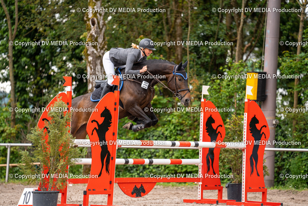 Eppelheim Tag 1-112 | dv-media-shop - Realisiert mit Pictrs.com