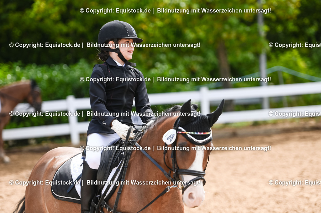 20230716_10-3_Reiter-WB Schritt - Trab - Galopp_0139 | equistock