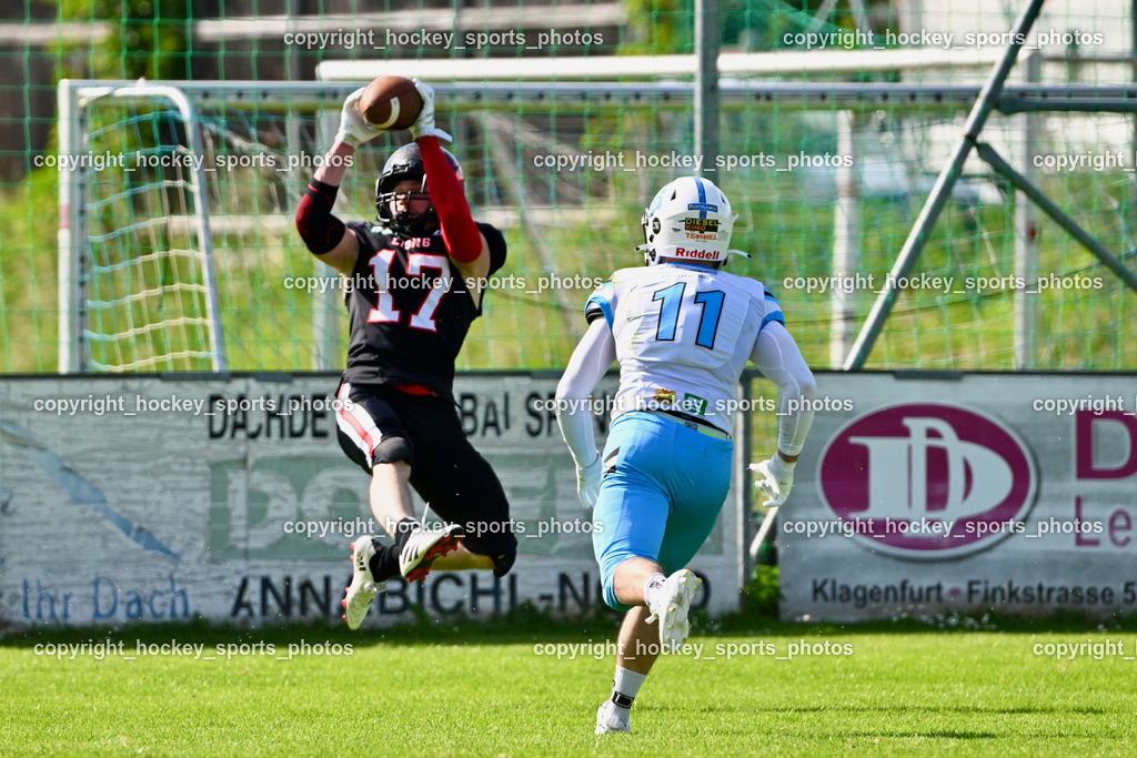 Carinthian Lions vs. Styrian Bears | Carinthian Lions vs. Styrian Bears, Carinthian Lions vs. Styrian Bears am 20.05.2024 in Klagenfurt (ASV Sportplatz), Austria, (Photo by Bernd Stefan)