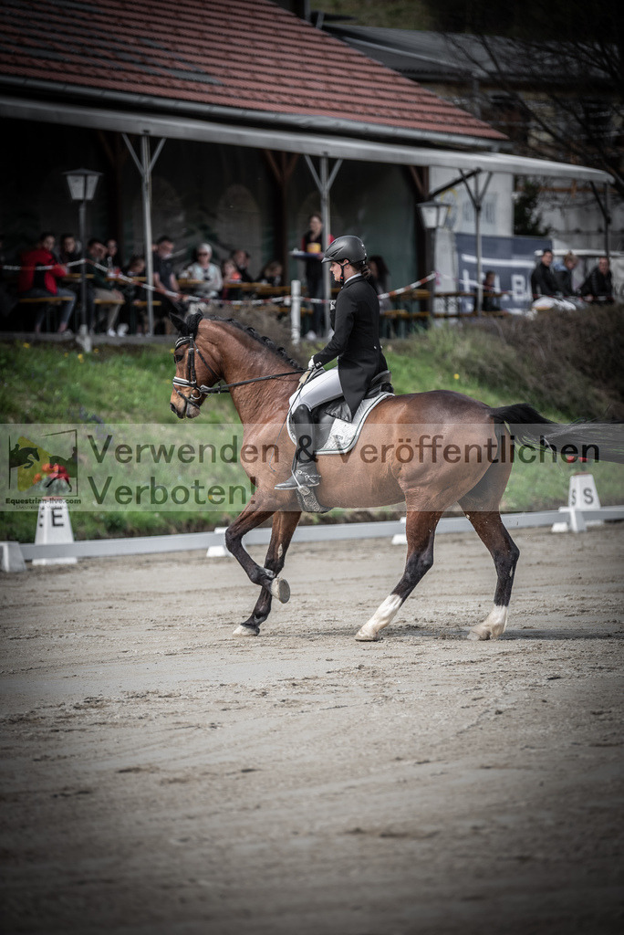 DSC_2133 | equestrian-live-com