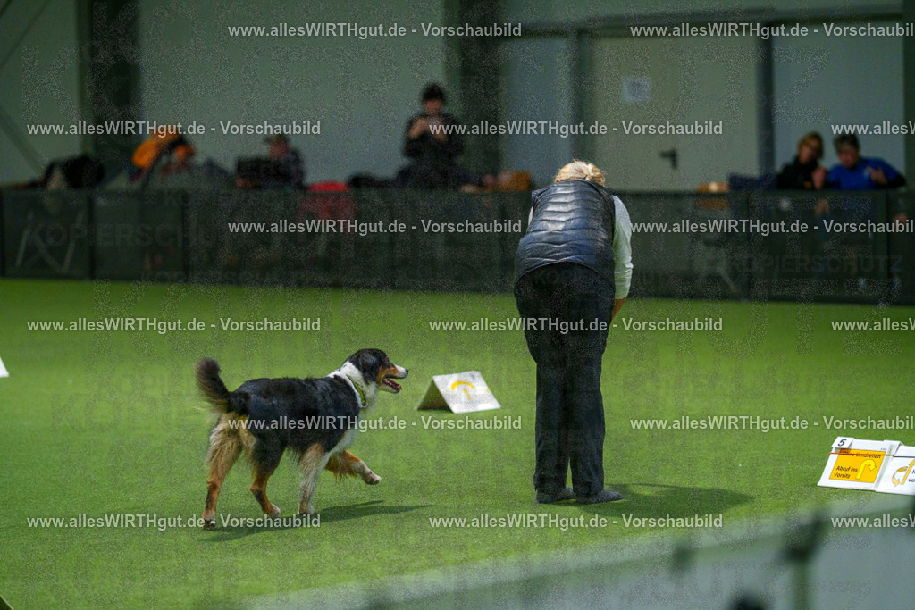 7R507565 | Professionelle Tierfotografie in Mönchengladbach von Daniel Wirth (allesWIRTHgut). Liebevolle & natürliche Bilder von Hunden & Katzen für unvergessliche Erinnerungen.