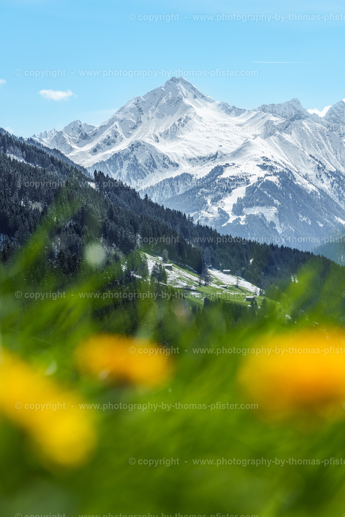 Tux Frühling copyright  Thomas Pfister-5 | PHOTOGRAPHY BY THOMAS PFISTER