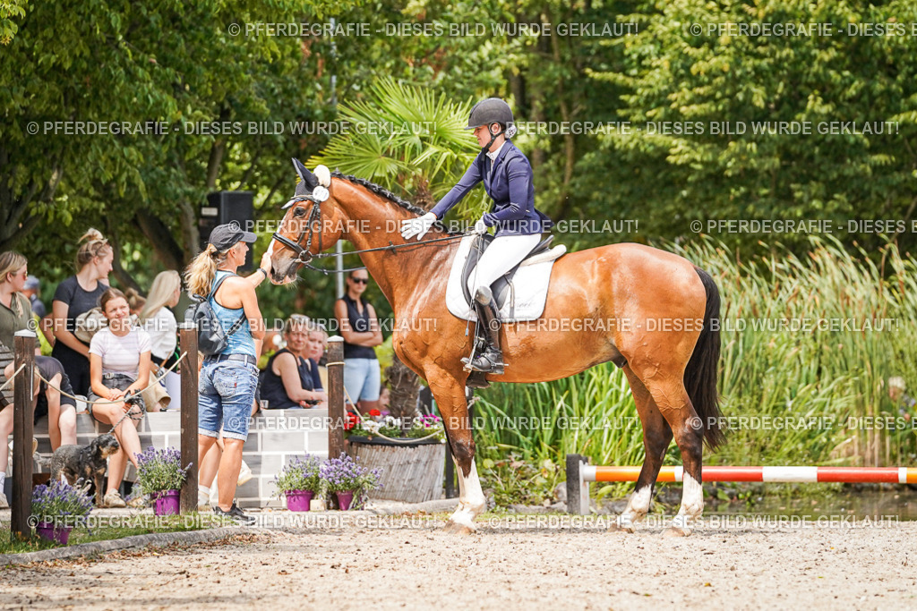 DSC04072 | Pferdegrafie