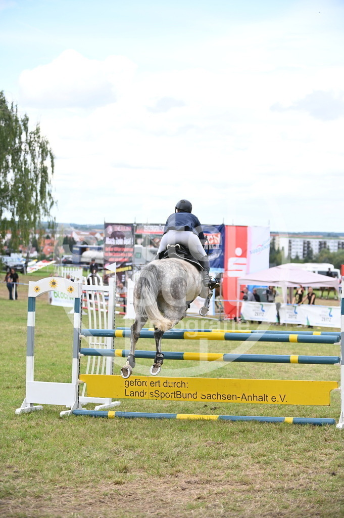 DSC_7295 | sattelsport - Realisiert mit Pictrs.com