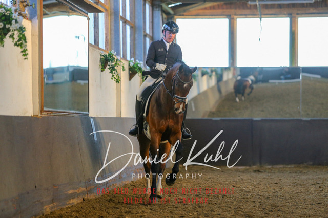 IMG_3381 | Turniersportfotografie; Pferdefotografie; Dressurfotografie