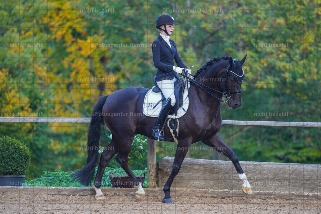 20221007-FAH00624 | Diessen am Ammersee, 2022, Dressur- und Springturnier, Reitsportbilder, Turnierfotografen Bayern, Pferdefotografen, Fotoagentur Herrmann, Turnierbilder