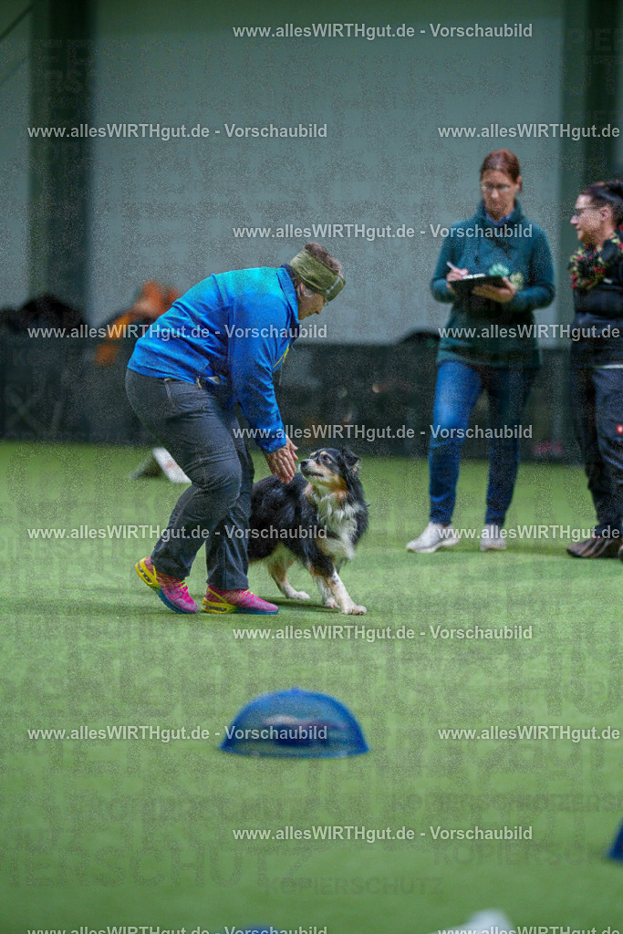 7R506480 | Professionelle Tierfotografie in Mönchengladbach von Daniel Wirth (allesWIRTHgut). Liebevolle & natürliche Bilder von Hunden & Katzen für unvergessliche Erinnerungen.