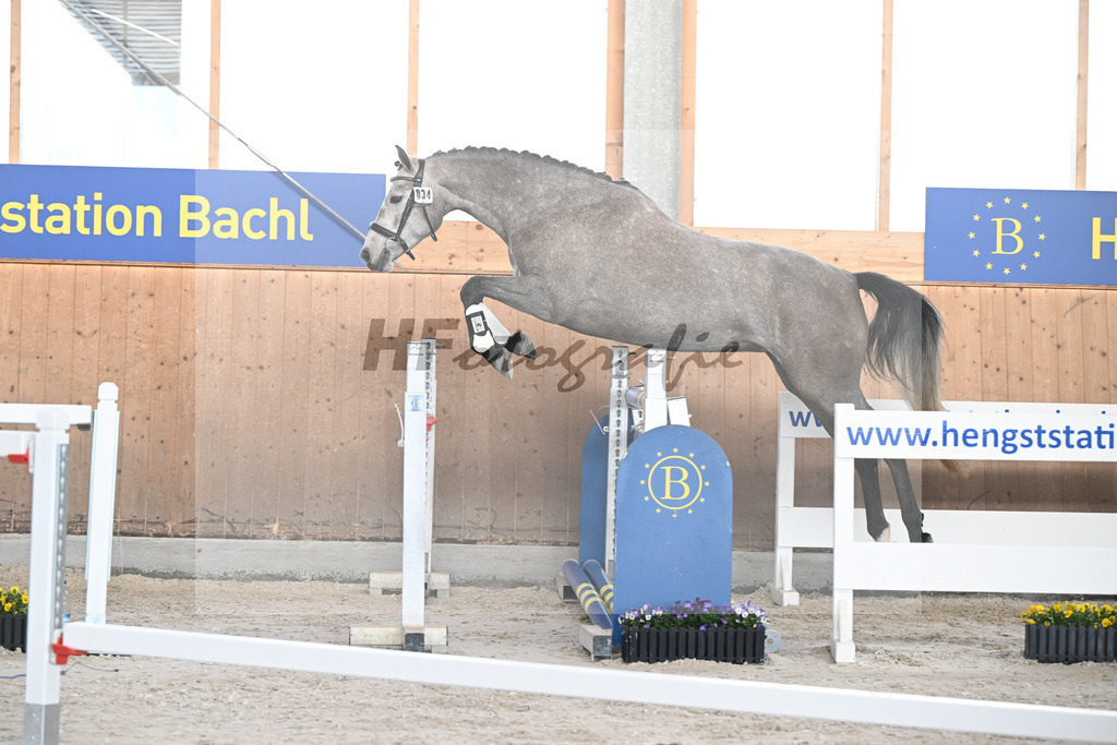 Kat-Nr. 34 Kalea v. Vingino_Bachl_5250672 | hf-fotografie - Realisiert mit Pictrs.com