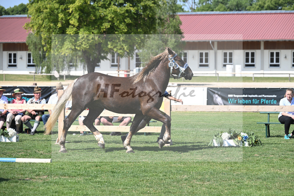 Kat-Nr. 17 Ekaterina_Himmelstoss_20230266 | hf-fotografie - Realisiert mit Pictrs.com