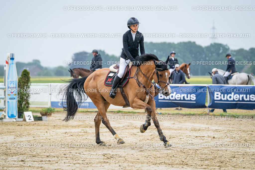 DSC02006 | Pferdegrafie