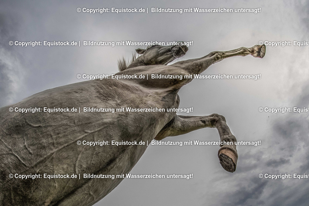 TS_20170817_Steigender_Schimmel_0001 | Foto: Thomas Hartig