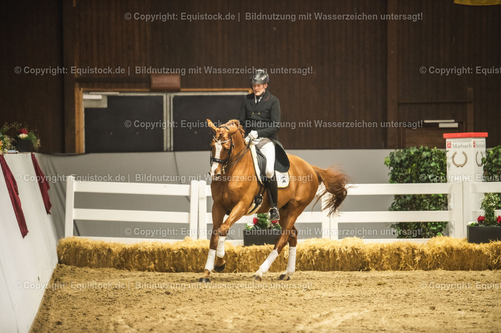 20240302_Hengstvorstellung_Marbach_TOMsPiC_0885 | equistock