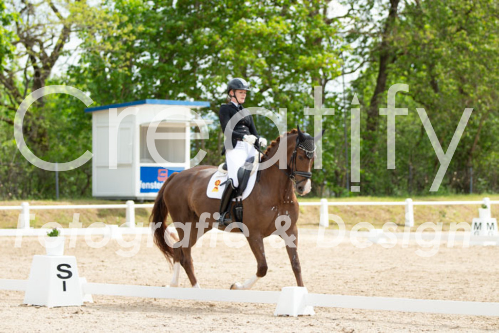 IMG_2290 | Creatify Fotografie