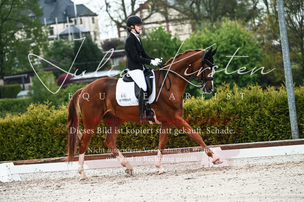DSC_4290 | Pferde- und Turnierfotografie in Westsachsen. Pferdeportraits, Auftragszeichnungen und intuitive Kunst.