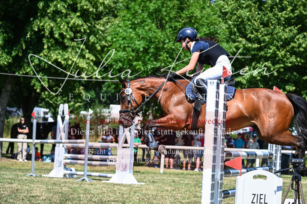 DSC_0927 | Pferde- und Turnierfotografie in Westsachsen. Pferdeportraits, Auftragszeichnungen und intuitive Kunst.