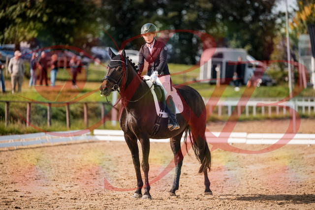 2026_10_03_Siefer-Hof_121806_Z63_41896445 | Professionelle Reitsport-, Turnier- und Eventfotografie von Robert Broda. Galerien mit ausgewählten und bearbeiteten Bildern direkt online ansehen und bestellen.