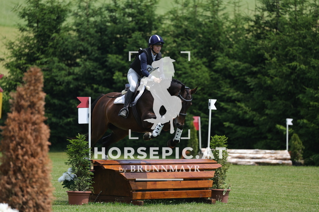 0P6A8530 | Willkommen bei Brunnmayr - Design & Fotografie – Ihrem Spezialisten für Reitturniere und Pferdeveranstaltungen in Oberösterreich, Salzburg und Bayern! Seit über 17 Jahren sind wir leidenschaftlich dabei.