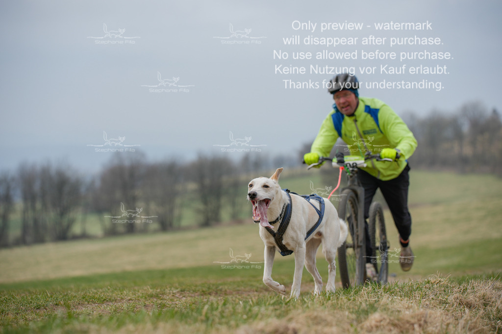 ScooterSA-215 | stephaniefillaphotographie - Realisiert mit Pictrs.com