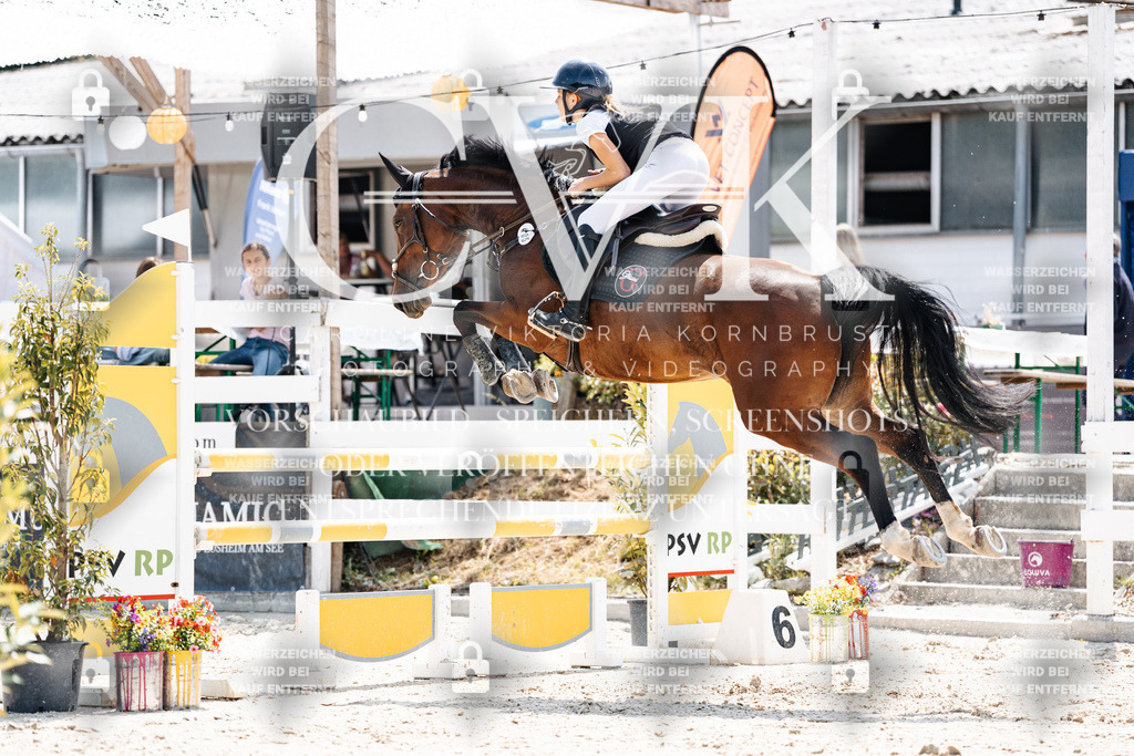 CK908050 | Turnierfotografie Pferdefotografie Trier Rheinland-Pfalz Pferdesport Reitsport Tierfotografie Sportfotografie Pferdevideo Pferdevideografie Equestrianvideography equestrianphotography  - Realisiert mit Pictrs.com