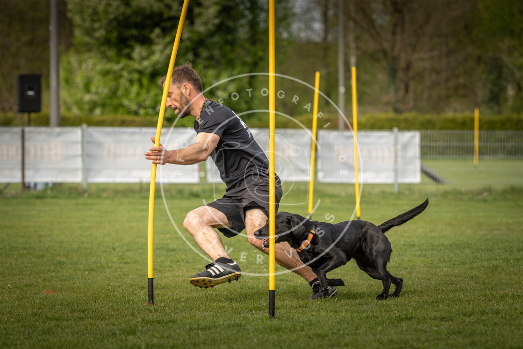 Pfotenfotografie_DV3A5562 | Hundefotografie, Tierfotograf, Pfotenfotografie, Fotoshooting Hund, Hunde Portrait, Hundesport, Hundeportraits, Heideshooting, Hunde, Sportfotograf, Hundefotograf, Turnierhundsport, THS,  - Realisiert mit Pictrs.com