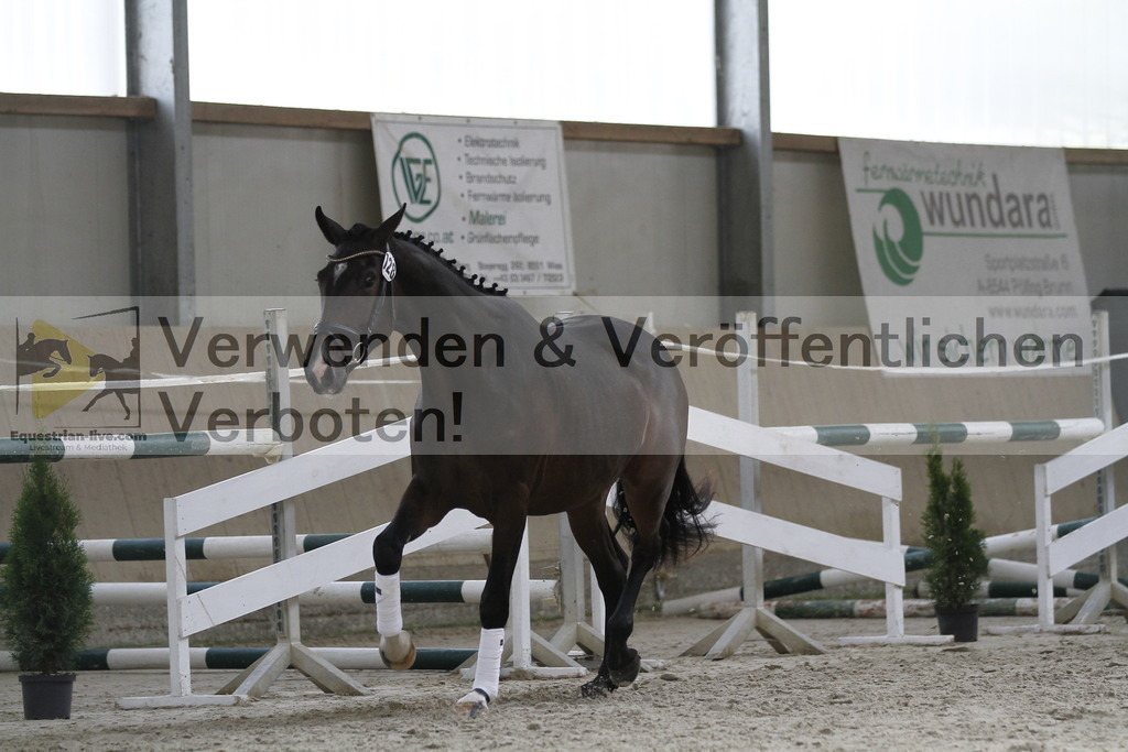 _MG_9842 | equestrian-live-com