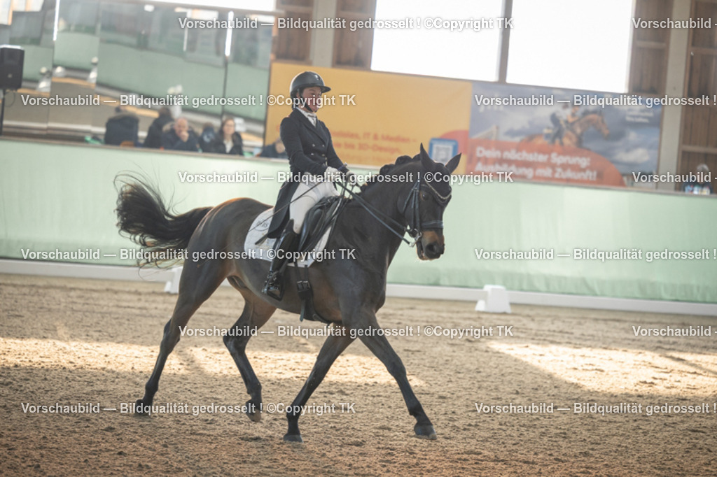 _D5A7708 | Emotionale Pferde- & People-Fotografie rund um Heidelberg, Leimen & Umgebung. Natürliche Fotos von Pferd, Mensch & Familie. Jetzt Termin sichern!