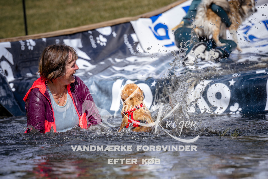 _ZZ925320927 | kk-dogfotos