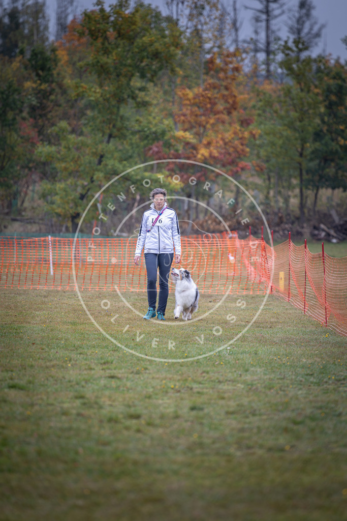 Pfotenfotografie_DV3A9361 | Hundefotografie, Tierfotograf, Pfotenfotografie, Fotoshooting Hund, Hunde Portrait, Hundesport, Hundeportraits, Heideshooting, Hunde, Sportfotograf, Hundefotograf, Turnierhundsport, THS,  - Realisiert mit Pictrs.com