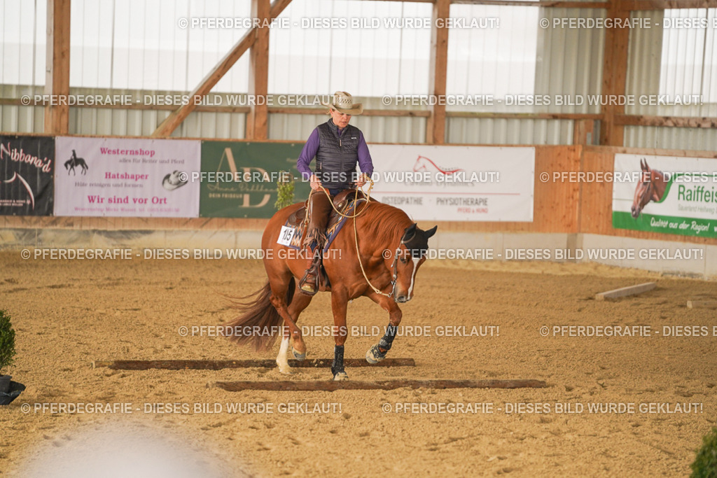 DSC01224 | Pferdegrafie