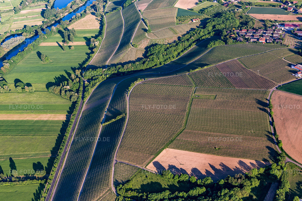 Luftbild: Weinlage Neueser Glatzen im Ortsteil Neuses am Berg in Dettelbach im Bundesland Bayern in Deutschland. Foto: IMG_100345.jpg vom 27.05.2017 durch Werner Riehm/FLY-FOTO.de