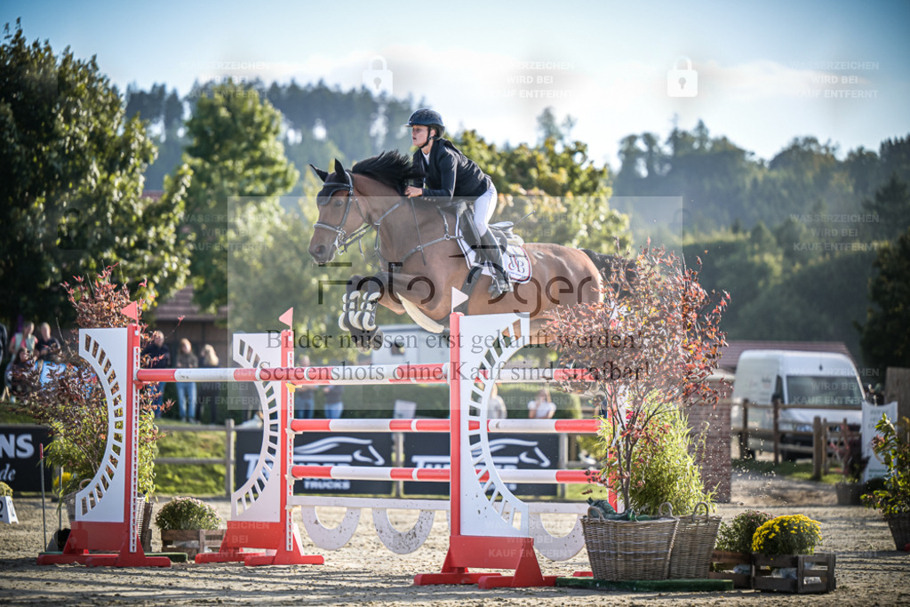 DOS_1634 | Entdecke hochwertige Reitturnierfotos von Foto Oger. Professionell, emotional und authentisch – jetzt Lieblingsmomente im Shop bestellen. - Realisiert mit Pictrs.com