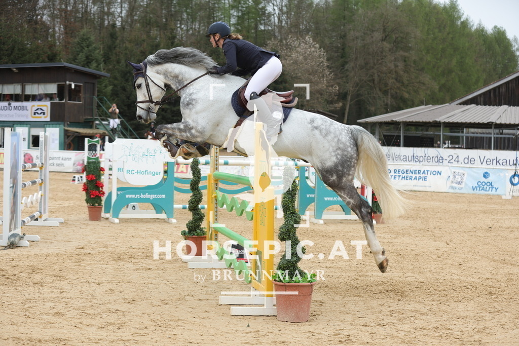 0P6A4051 | Willkommen bei Brunnmayr - Design & Fotografie – Ihrem Spezialisten für Reitturniere und Pferdeveranstaltungen in Oberösterreich, Salzburg und Bayern! Seit über 17 Jahren sind wir leidenschaftlich dabei.