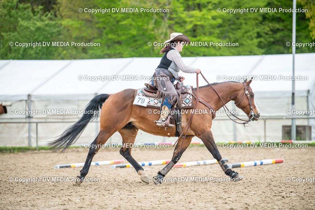 Heiligenwald Tag 1-2102 | dv-media-shop - Realisiert mit Pictrs.com