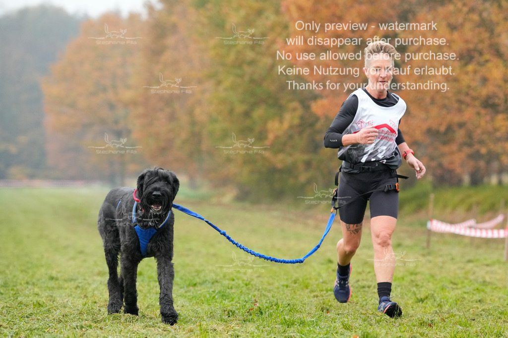 Visbeck_Sa_CC-138 | stephaniefillaphotographie - Realisiert mit Pictrs.com