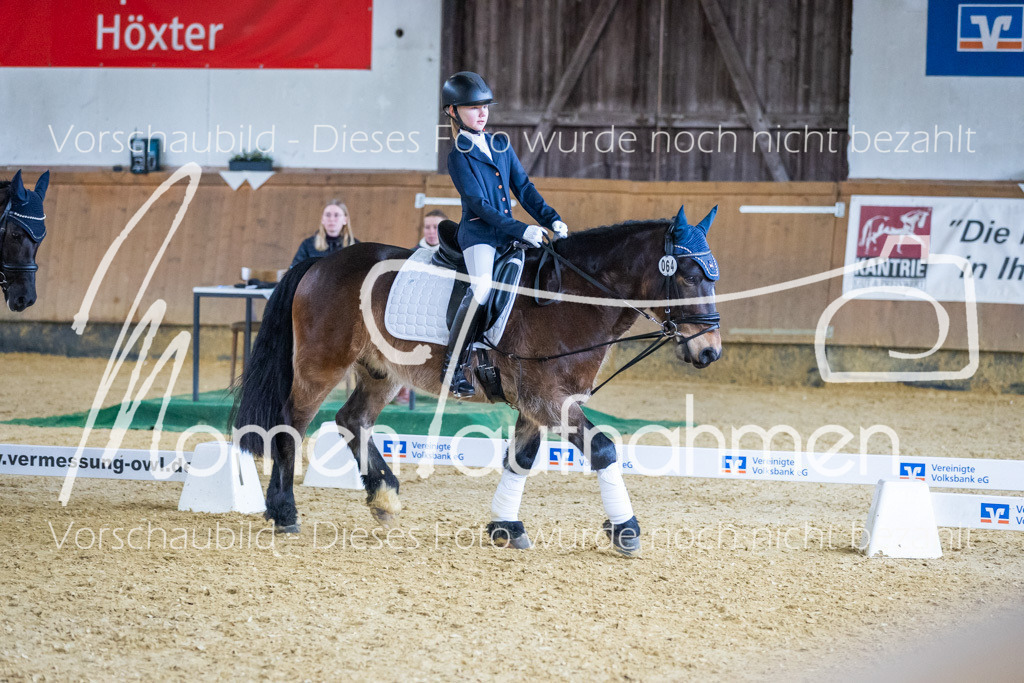 Sth-WBO25-RWBST-049 | MomenTaufnahmen Pferdesportfotos