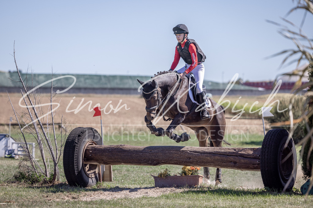 20260906-_3LI3412 | Tierfotografie Pferde, Hunde, Katzen, Haustiere.
Turnierfotografie Reitturniere, Reiten, Springreiten, Dressur in Hanau, dem Main-Kinzig-Kreis und dem Rhein-Main- Gebiet um Frankfurt