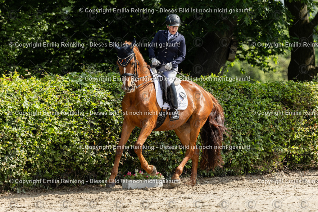 CL5A7555 | Emilia Reinking Fotografie - Realisiert mit Pictrs.com