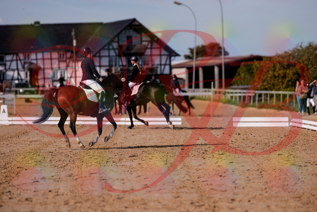 2026_10_03_Siefer-Hof_115619_Z81_96941836 | Professionelle Reitsport-, Turnier- und Eventfotografie von Robert Broda. Galerien mit ausgewählten und bearbeiteten Bildern direkt online ansehen und bestellen.