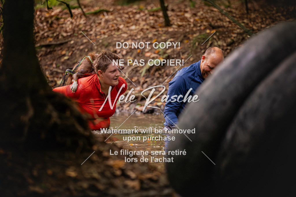 nelerasche_SaWingst0845-1000_207 | nelerasche