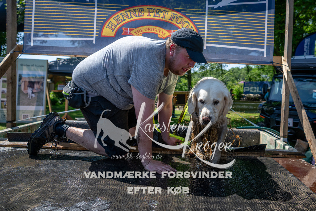 1242_ZZ91763 | kk-dogfotos