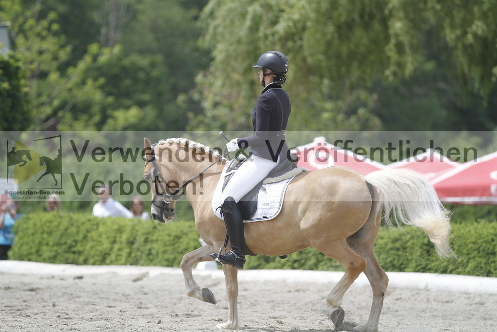 _MG_9511 | equestrian-live-com
