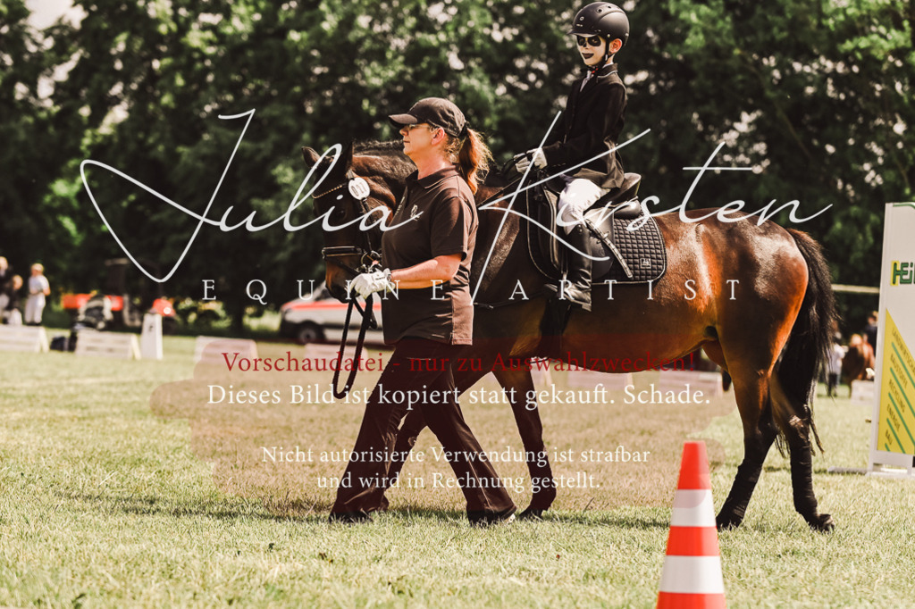 DSC_6764 | Pferde- und Turnierfotografie in Westsachsen. Pferdeportraits, Auftragszeichnungen und intuitive Kunst.