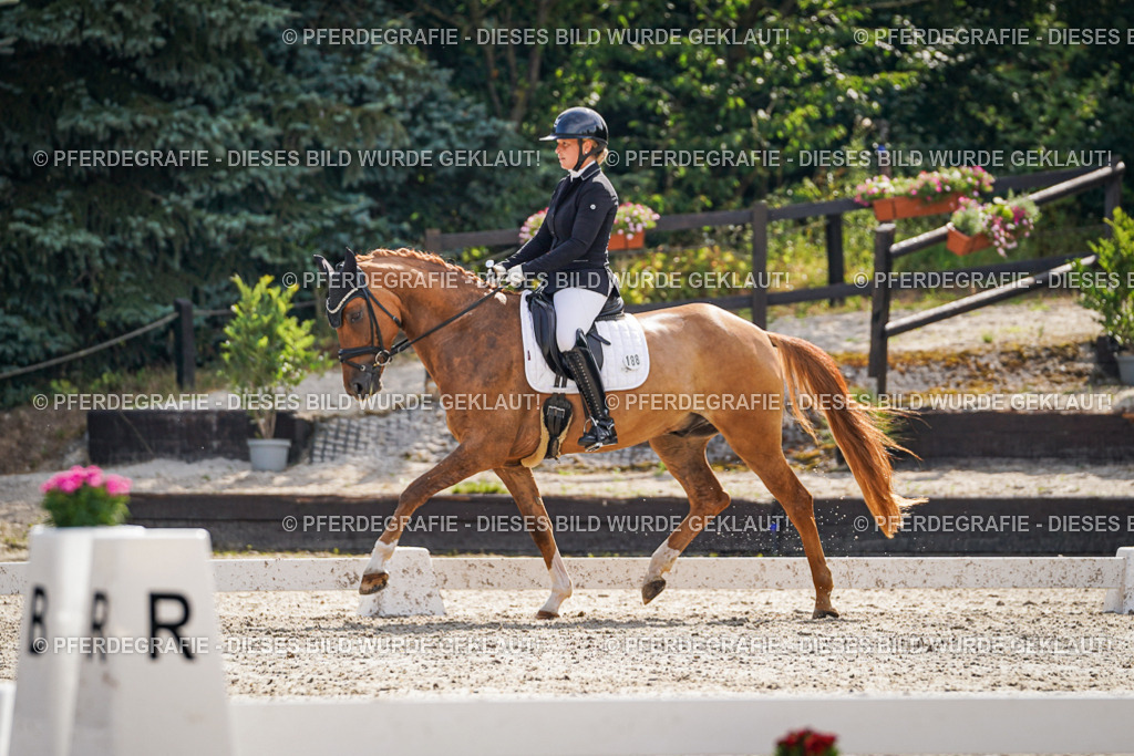 DSC06872 | Pferdegrafie