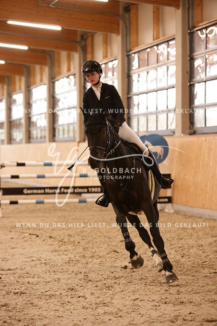 1J2A7690Leni Pell_ Emilie H_ Kn244_ Glantz_ Hohen Wieschendorf | Foto- und Videografie für alles rund ums Pferd. Hochwertige Bilder und Videos vom Spring- und Dressurreiten, Voltigieren & mehr. Jetzt aktuelle Veranstaltungen und Preise im Shop ansehen. - Realisiert mit Pictrs.com