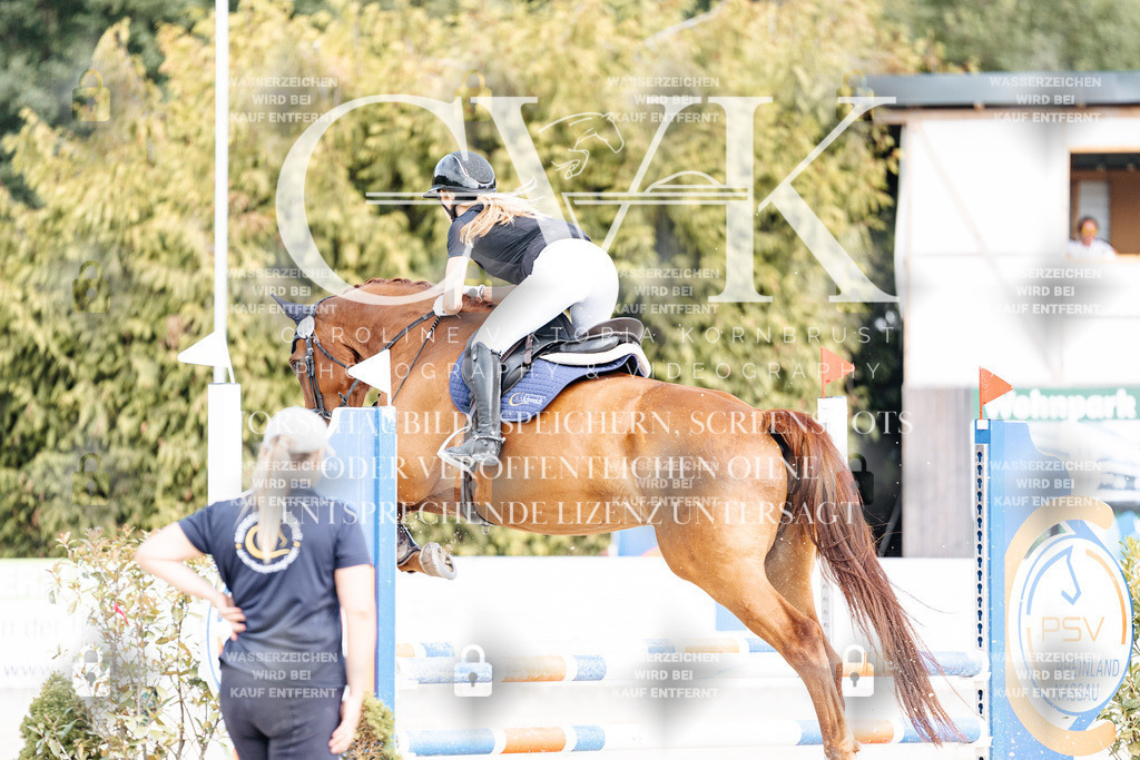 CK909008 | Turnierfotografie Pferdefotografie Trier Rheinland-Pfalz Pferdesport Reitsport Tierfotografie Sportfotografie Pferdevideo Pferdevideografie Equestrianvideography equestrianphotography  - Realisiert mit Pictrs.com