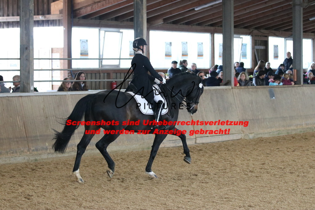 IMG_1052 | lmwpictures - Realisiert mit Pictrs.com