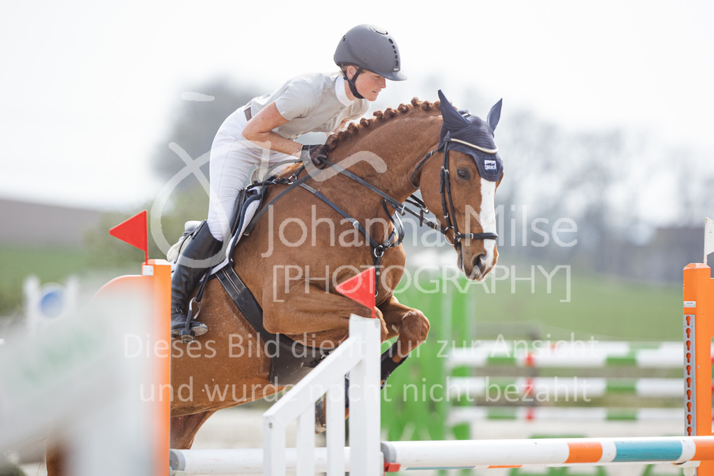 220413_LateEntry_MzH_SprPf-M-140 | Frühlingsfest der Pferde 
Outdoor Late Entry in Herford 
Springpferde-L
Springpferde-M*